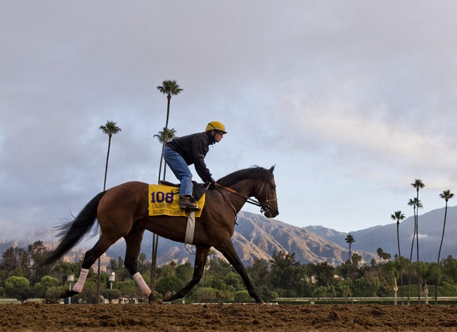 دیدنی های امروز