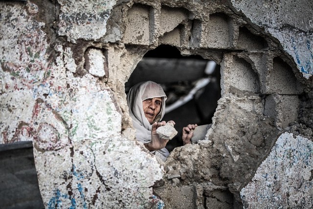 دیدنی های امروز