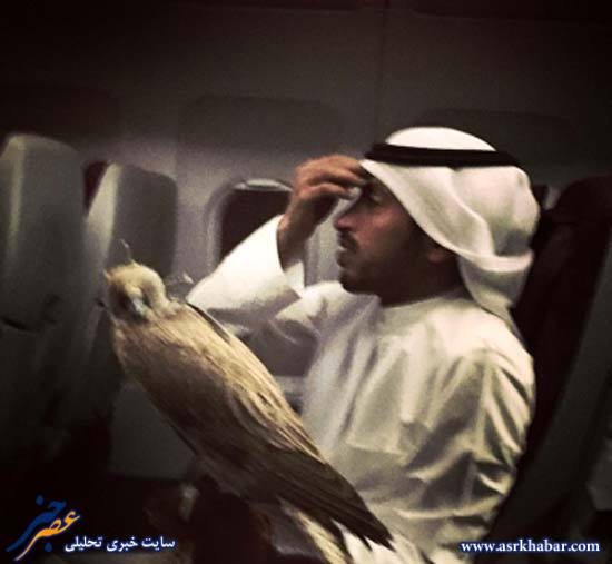 عجیب ترین مسافر هواپیما (عکس)
