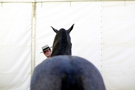 دیدنی های امروز