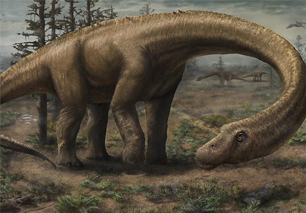 رویدادهای مهم سال 2014+تصاویر رویدادهای مهم سال 2014+تصاویر