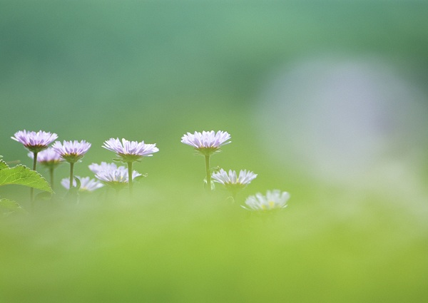 این تصاویر زیبا را ببینید!