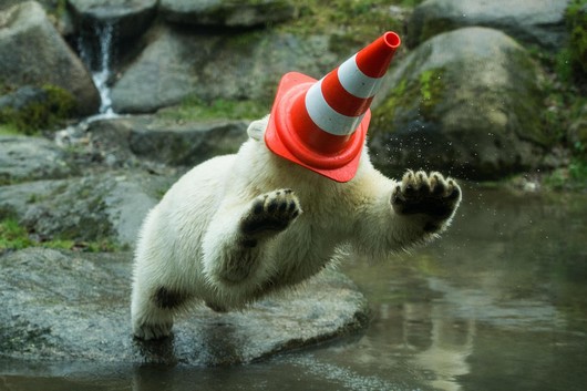 دیدنی های امروز