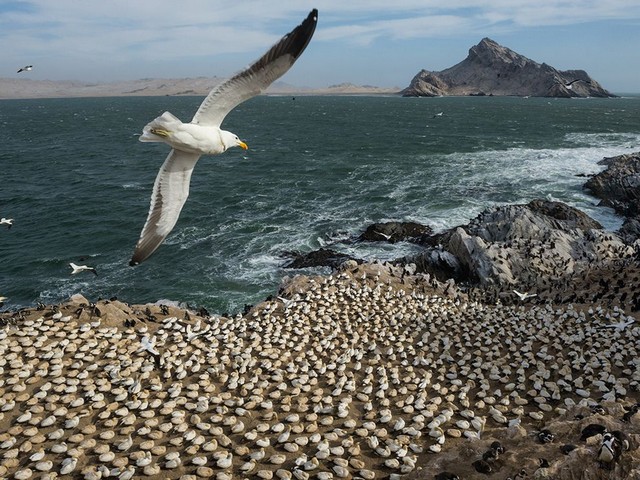 دیدنی های امروز