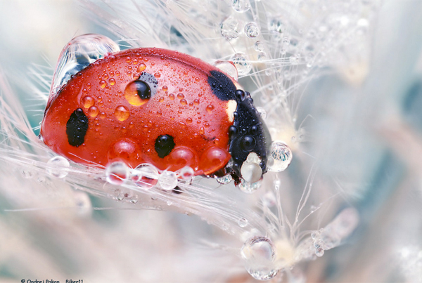۸ تکنیک عکاسی که هر عکاسی باید در آنها مسلط باشد ۸ تکنیک عکاسی که هر عکاسی باید در آنها مسلط باشد