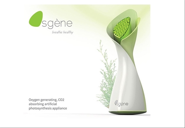 ساخت یک گیاه مصنوعی تمیز کننده هوا+تصاویر ساخت یک گیاه مصنوعی تمیز کننده هوا+تصاویر