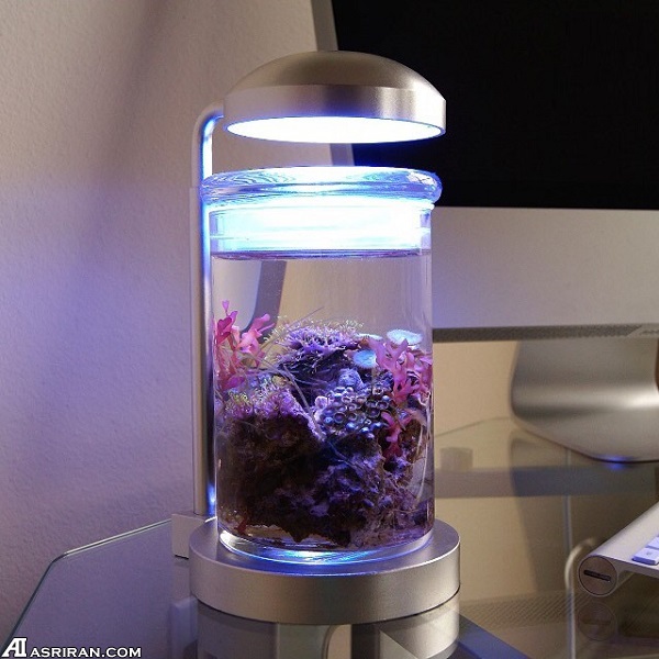 زندگی و ابزارک ها زندگی و ابزارک ها