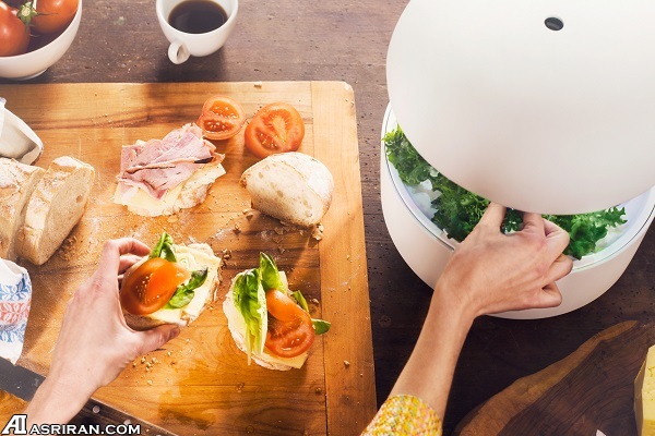 باغبانی هوشمند با باغبانی هوشمند با