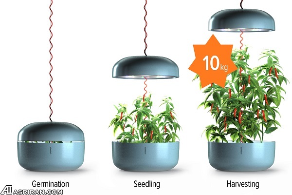 باغبانی هوشمند با باغبانی هوشمند با