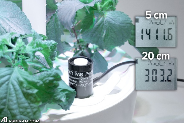 باغبانی هوشمند با باغبانی هوشمند با