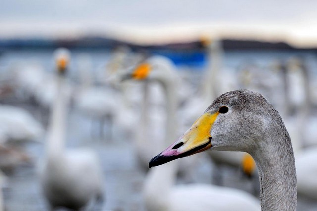 دیدنی های امروز