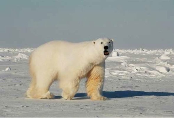 ۵ نقطه دیدنی زمین که قبل از نابودی باید آنها را دید