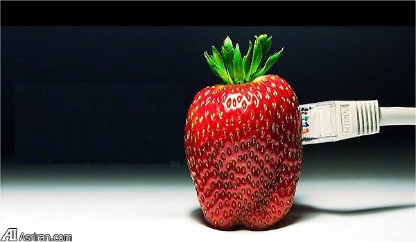 عجیب اما واقعی (بخش پایانی) عجیب اما واقعی (بخش پایانی)