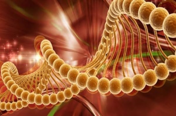 عجیب‌ترین رخدادهای پزشکی در سالی که گذشت