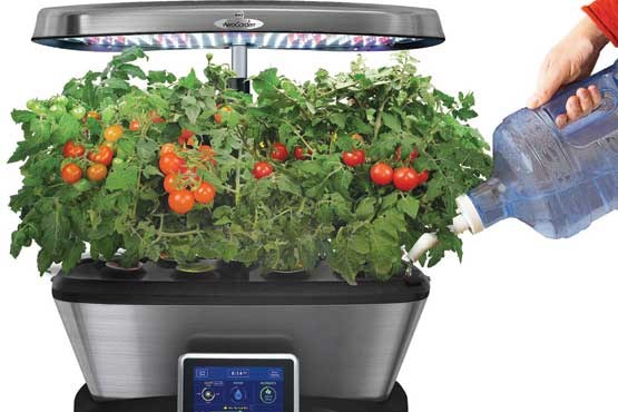 باغبانی به سبک امروزی باغبانی به سبک امروزی