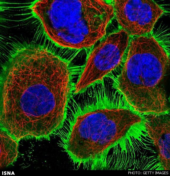 کشف ماده تاریک در جهان پروتئین‌ها