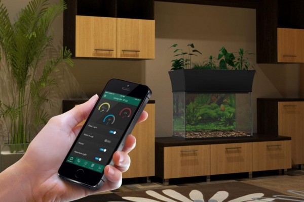 مدفوع ماهی را از طریق این اپلیکیشن به غذا تبدیل کنید! مدفوع ماهی را از طریق این اپلیکیشن به غذا تبدیل کنید!