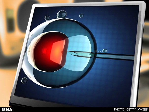 پروژه ویرایش ژنی جنینهای انسانی کلید خورد پروژه ویرایش ژنی جنینهای انسانی کلید خورد