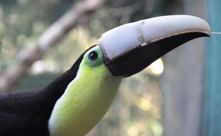 انقلاب در چاپگرهای سه بعدی انقلاب در چاپگرهای سه بعدی