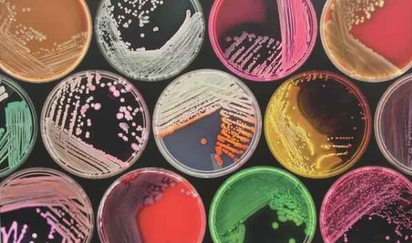 میکروبیوم هر فرد، کلید درمان سرطان میکروبیوم هر فرد، کلید درمان سرطان