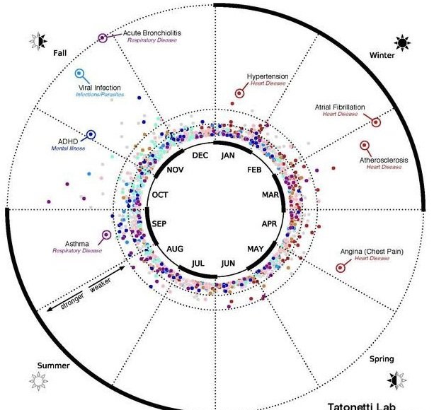 ارتباط ماه تولد با بیماریها ارتباط ماه تولد با بیماریها