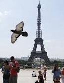 سوغات فرنگ(28) درآمد گردشگری فرانسه دوبرابر درآمد نفتی ایران سوغات فرنگ(28) درآمد گردشگری فرانسه دوبرابر درآمد نفتی ایران