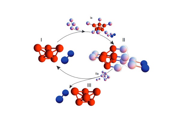 نظریهای جدید برای یافتن منشا تکامل و حیات نظریهای جدید برای یافتن منشا تکامل و حیات