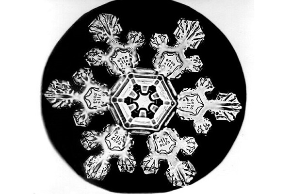 نظریهای جدید برای یافتن منشا تکامل و حیات نظریهای جدید برای یافتن منشا تکامل و حیات