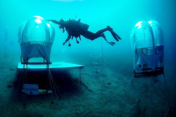 کشاورزی اینترنتی در عجیب ترین مزرعه جهان کشاورزی اینترنتی در عجیب ترین مزرعه جهان