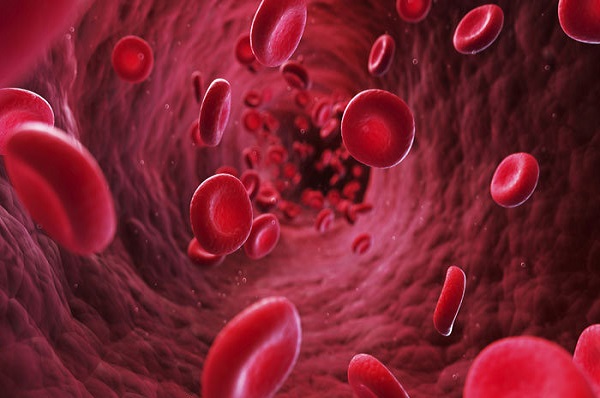 کشف سلولهای احیاکننده کبد بدون ایجاد سرطان کشف سلولهای احیاکننده کبد بدون ایجاد سرطان