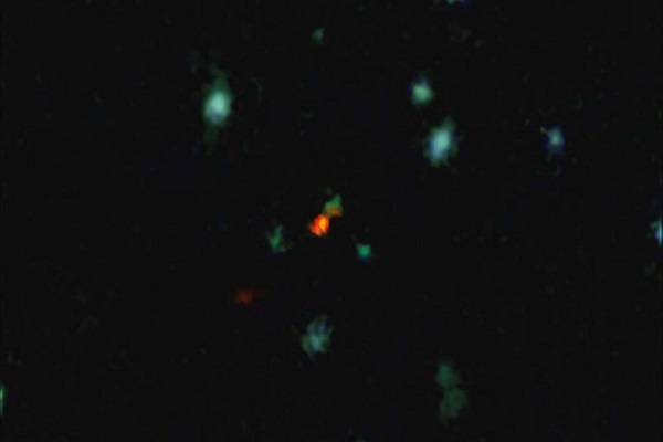 مشاهده بی‌سابقه شکل‌گیری کهکشان در آغاز جهان