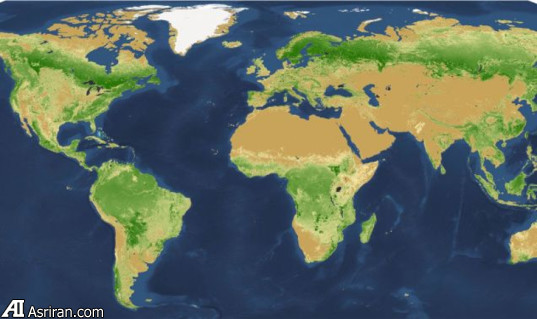 انسان کمر به قتل ریه‌های زمین بسته است