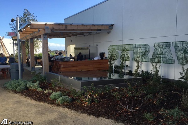 در پشت صحنه فیسبوک