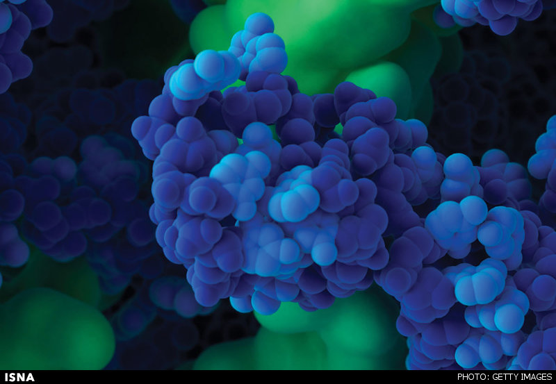 انتشار تصویر ویروس زیکا از نمای نزدیک انتشار تصویر ویروس زیکا از نمای نزدیک