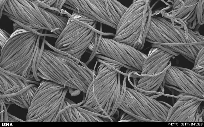 پوشاک کثیف خود را با نور خورشید تمیز کنید