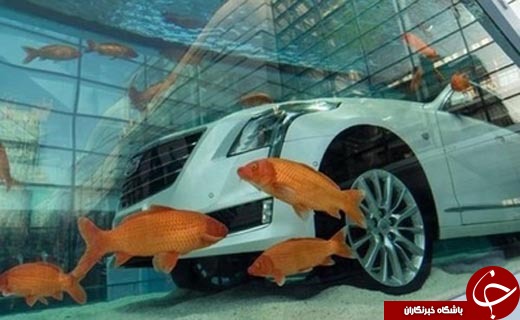 خودرویی که خیس نمیشود+تصاویر خودرویی که خیس نمیشود+تصاویر