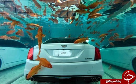 خودرویی که خیس نمیشود+تصاویر خودرویی که خیس نمیشود+تصاویر