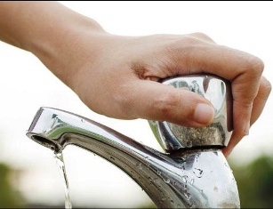 پتروس فداکار باشیم! پتروس فداکار باشیم!