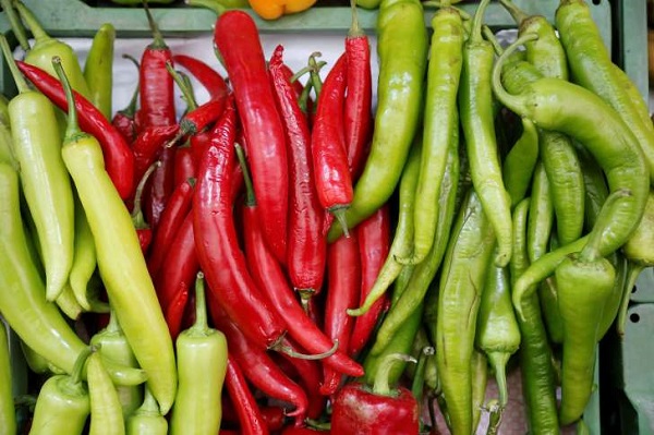 فلفل به مقابله با یک نوع مهاجم سرطان پستان میرود فلفل به مقابله با یک نوع مهاجم سرطان پستان میرود