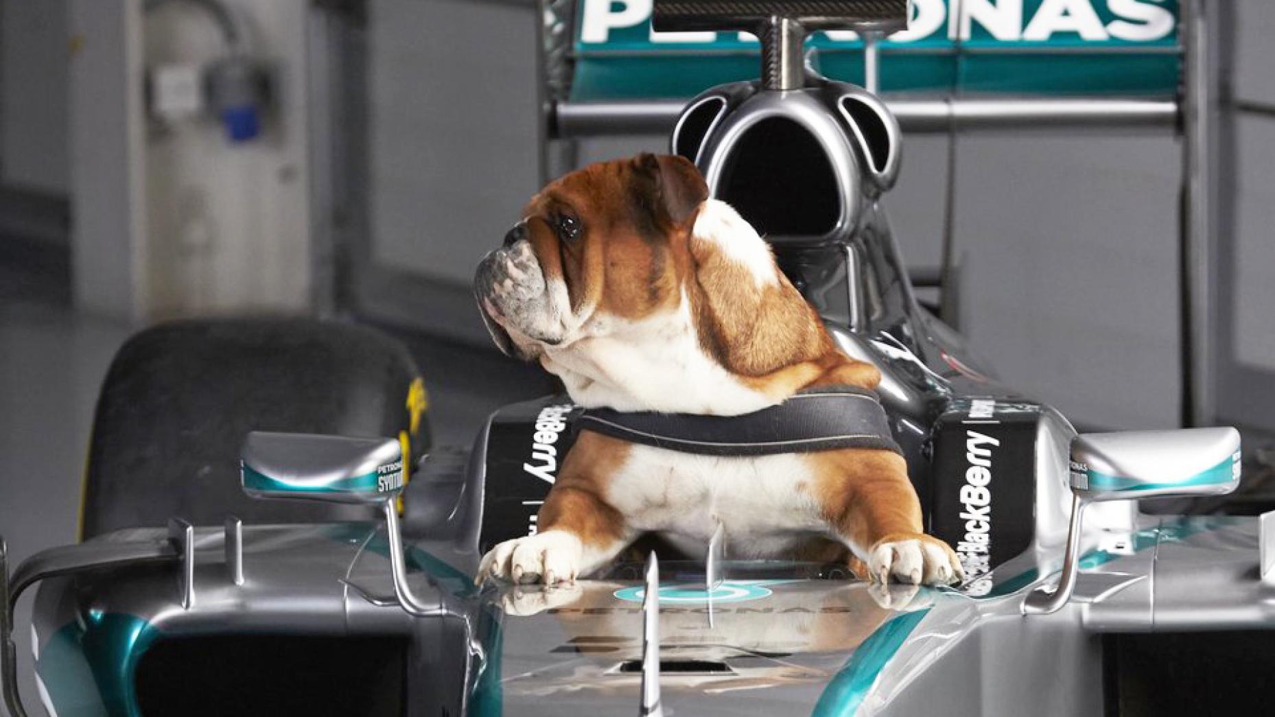 اتفاقات جذاب دنیای خودرو در سال 2016 (به روایت تصویر) اتفاقات جذاب دنیای خودرو در سال 2016 (به روایت تصویر)