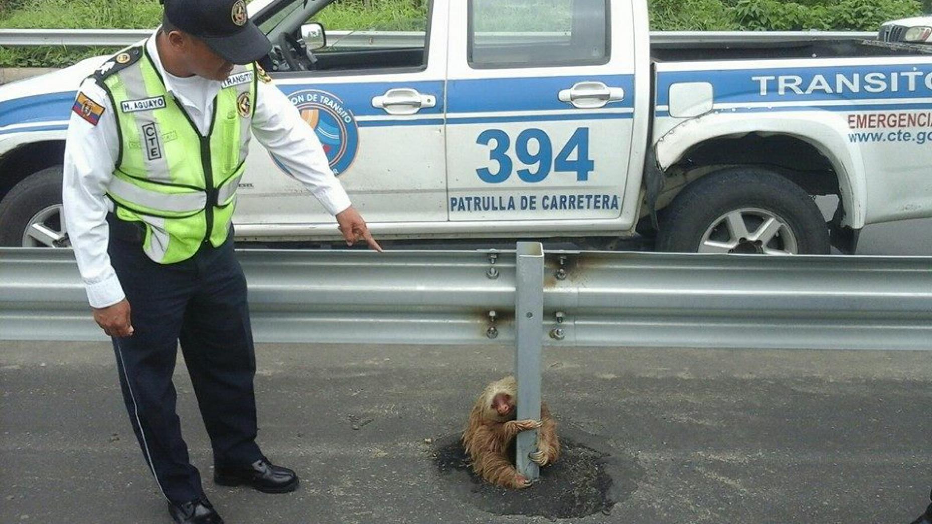 اتفاقات جذاب دنیای خودرو در سال 2016 (به روایت تصویر) اتفاقات جذاب دنیای خودرو در سال 2016 (به روایت تصویر)