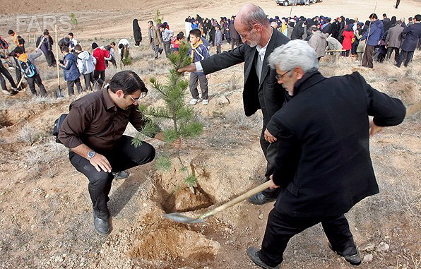 در روز درختکاری، نهال نکاریم! در روز درختکاری، نهال نکاریم!