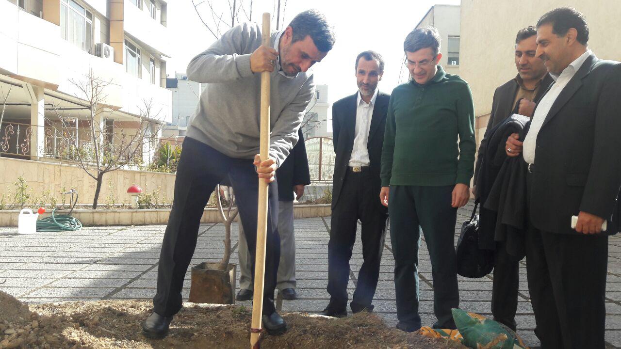 چرا احمدی نژاد و مشایی رابطه خود را علنی کردند؟