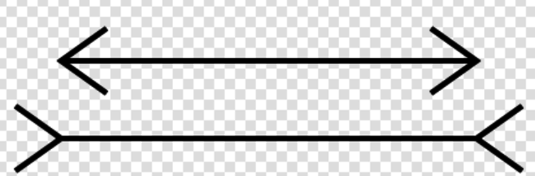جادو و شعبده بازی چگونه کار می کند جادو و شعبده بازی چگونه کار می کند