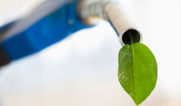 توليد سوخت سبز از روغن سويا توليد سوخت سبز از روغن سويا