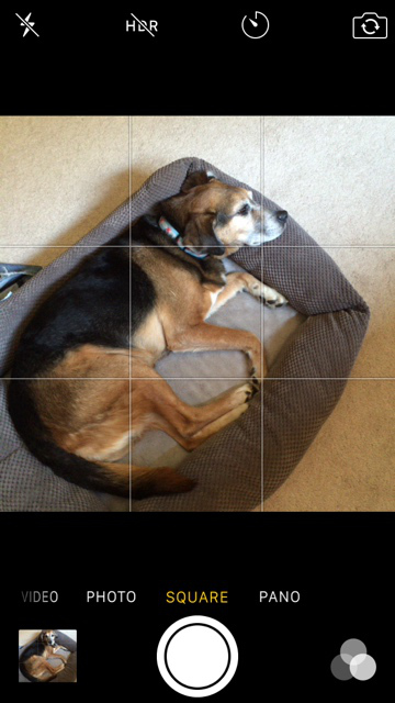 6 ترفند برای عکاسی بهتر با آیفون 6 ترفند برای عکاسی بهتر با آیفون