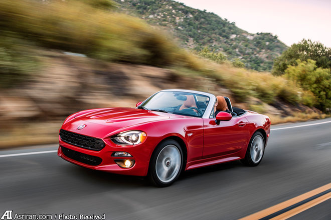 سیب ایتالیایی زیر درخت ژاپنی سیب ایتالیایی زیر درخت ژاپنی