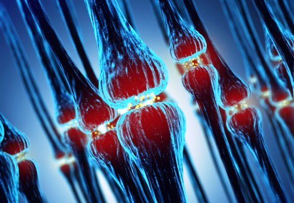 تئوری تازه محققان هاروارد درباره آلزایمر تئوری تازه محققان هاروارد درباره آلزایمر