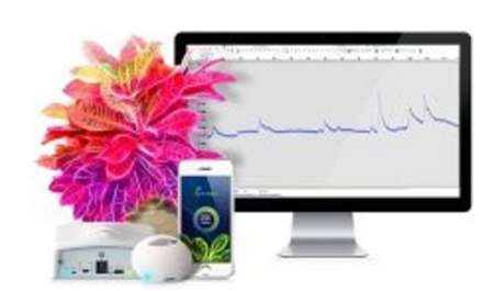 دستگاهی که صدای گیاه را به گوش می رساند دستگاهی که صدای گیاه را به گوش می رساند