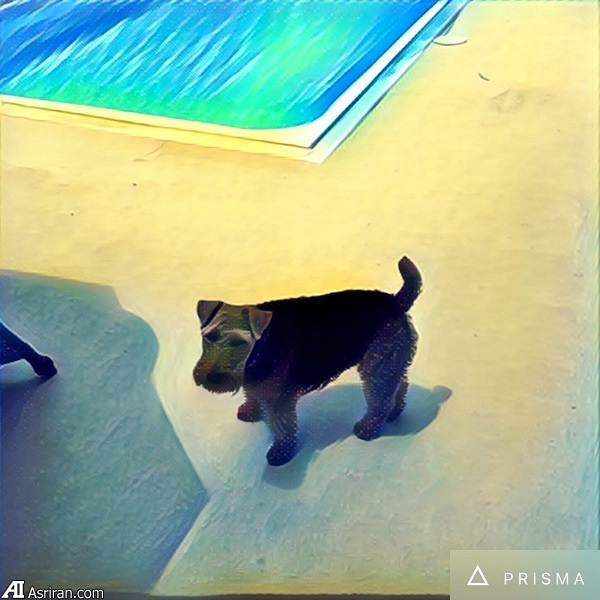 خلق آثار هنری از عکس با اپلیکیشن «پریزما» خلق آثار هنری از عکس با اپلیکیشن «پریزما»